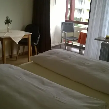 Swiss - App.nelles 3* באד פיסינג