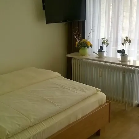 Swiss - App.nelles Апарт-отель *